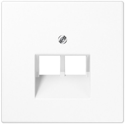 Лицевая панель Jung LS990 для 2-м. розетки RJ11/RJ45 белый фото Лицевая панель Jung LS990 для 2-м. розетки RJ11/RJ45 белый картинка